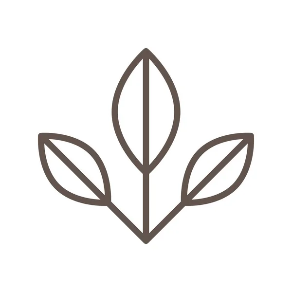 Листья флоры декоративный дизайн — стоковый вектор