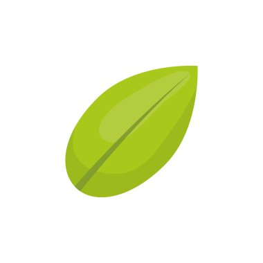 yaprak doğal ekoloji