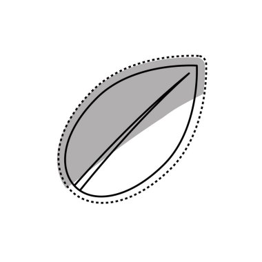 yaprak doğal ekoloji