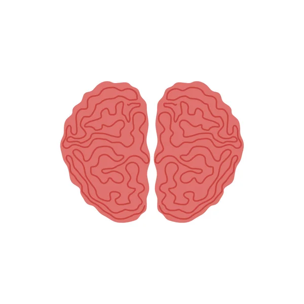 Human brain intelligence — Stock Vector