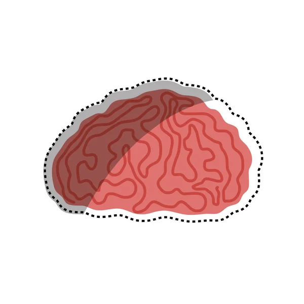 Intelligence cérébrale humaine — Image vectorielle