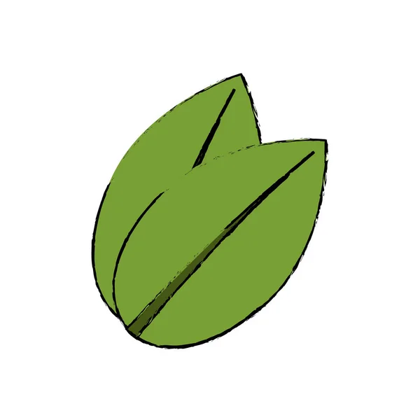葉自然生態 — ストックベクタ