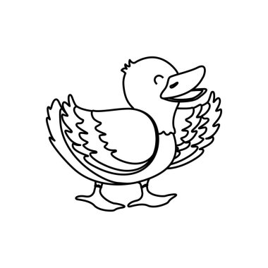 ördek çiftlik hayvanı