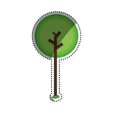 Ağaç doğa ekoloji