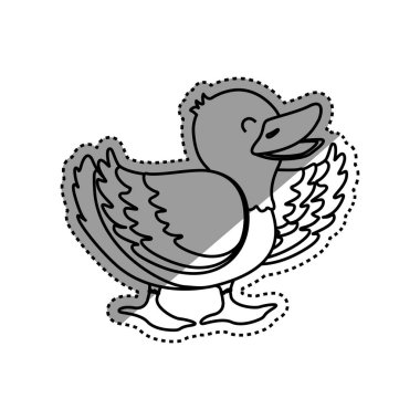 ördek çiftlik hayvanı