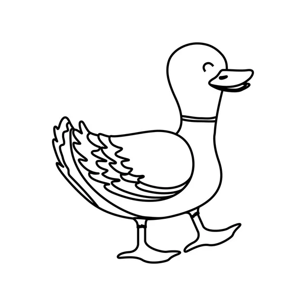Animal de granja de pato — Vector de stock