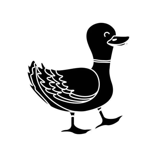 Duck farm animal — Stock Vector