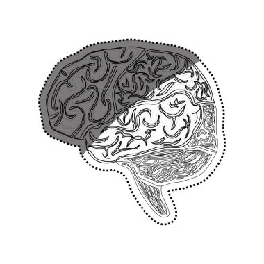 insan beyni sembolü