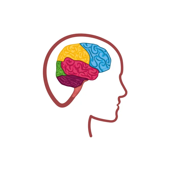 Symbole du cerveau humain — Image vectorielle