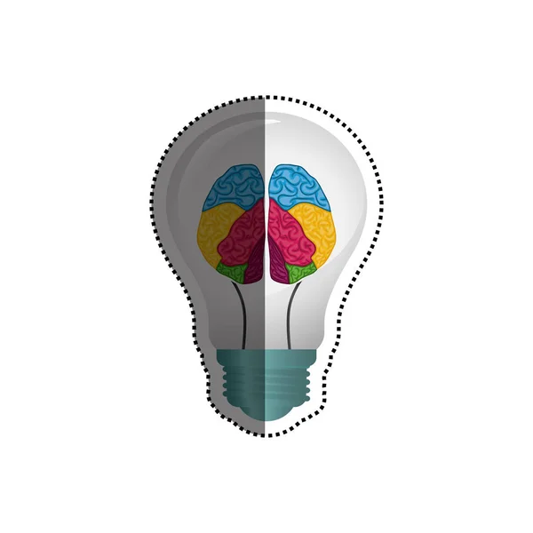 ความคิดหลอดไฟและสมองของมนุษย์ — ภาพเวกเตอร์สต็อก