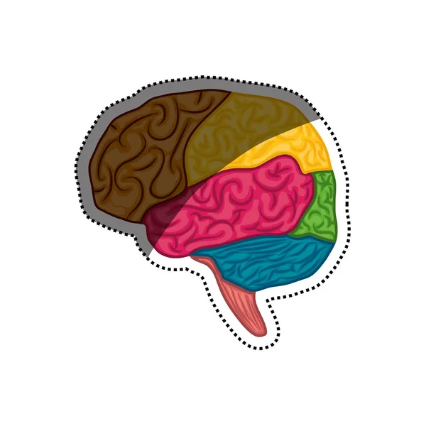 Symbole du cerveau humain — Image vectorielle