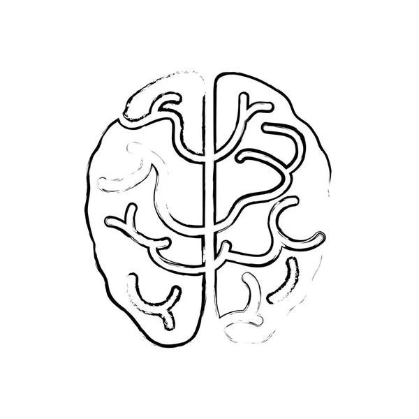 Símbolo cerebral humano — Archivo Imágenes Vectoriales