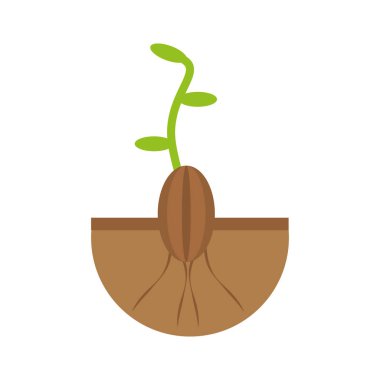 bitki büyüme flourishes doğal