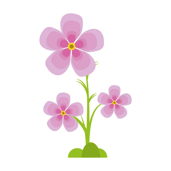 목련 꽃 식물 장식 — 스톡 벡터