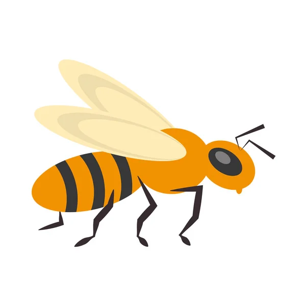 Abeja insecto flor polen — Vector de stock