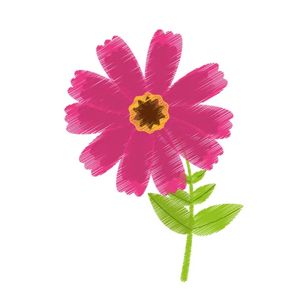 drawing pink cosmos flower spring icon