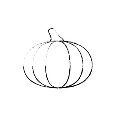 Lezzetli ve taze sebze