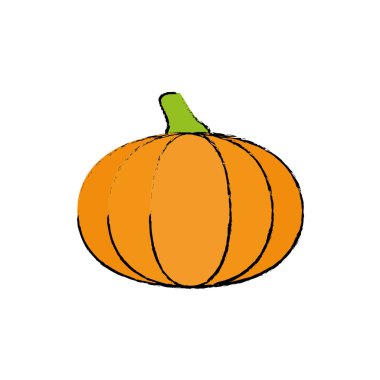 Lezzetli ve taze sebze