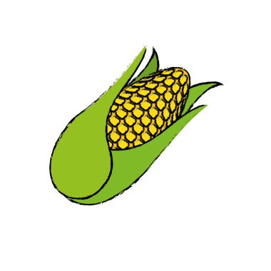 Lezzetli ve taze sebze