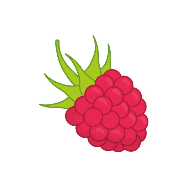 Frambuesa deliciosa fruta — Vector de stock