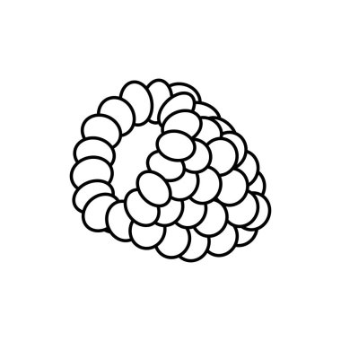 Ahududu lezzetli meyve