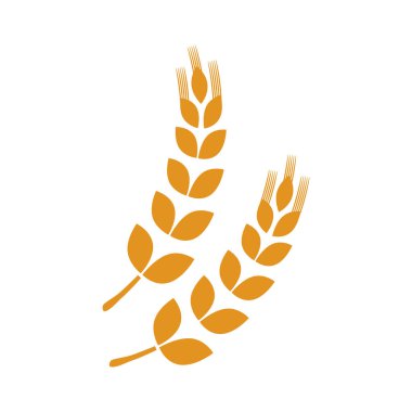 Buğday doğal gıda