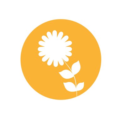 Yıldız Çiçeği çiçek doğal simgesi