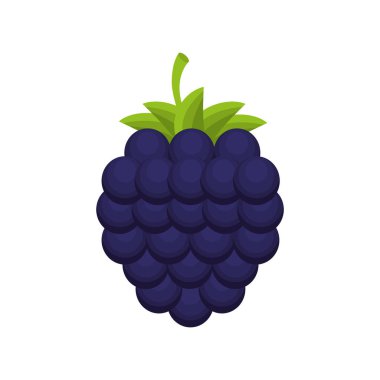 böğürtlen meyve sağlıklı simge