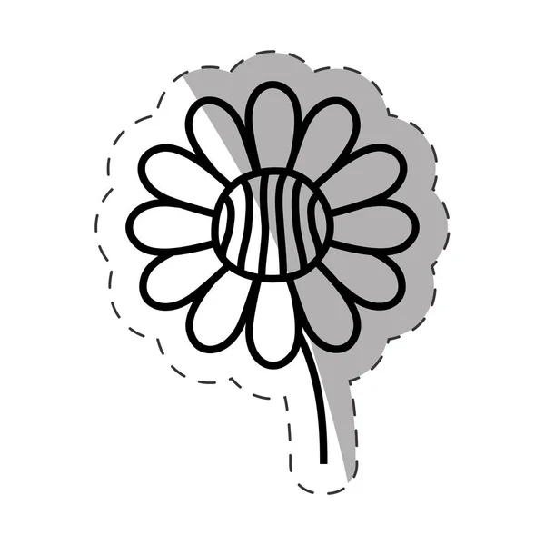 Bloem daisy ornament zwart-wit — Stockvector