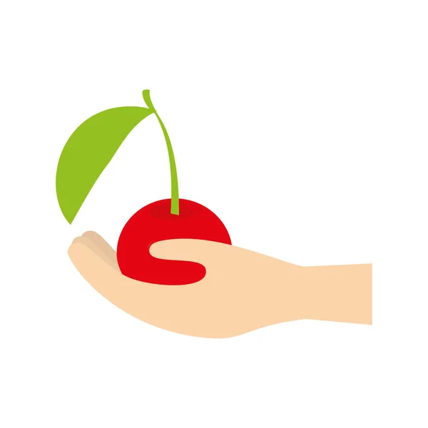 Mão segurando cereja fruta —  Vetores de Stock