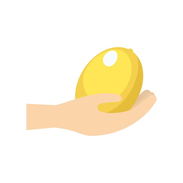 Mão segurando limão fruta — Vetor de Stock