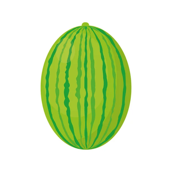 Vattenmelon saftig frukt hälsosam — Stock vektor