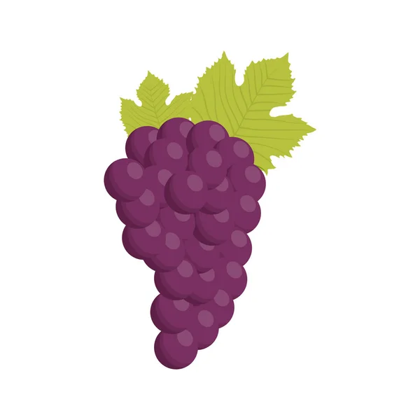 Grape bunch fruit healthy — Stock Vector