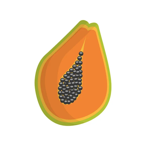 Fetta papaia frutta sana — Vettoriale Stock