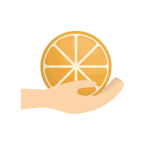 手中拿着橙色水果 — 图库矢量图片
