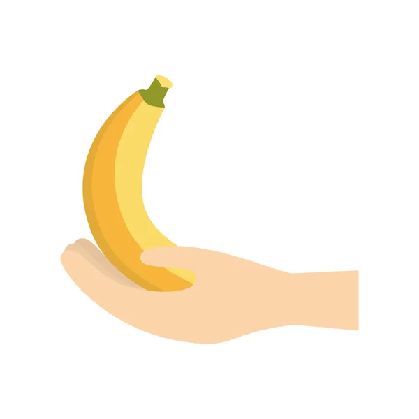 Hand holding banana fruit — Stock Vector