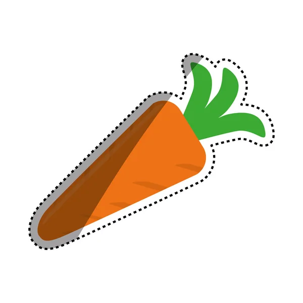 Cenoura vegetal fresco — Vetor de Stock