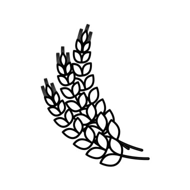 bira ve bira fabrikası