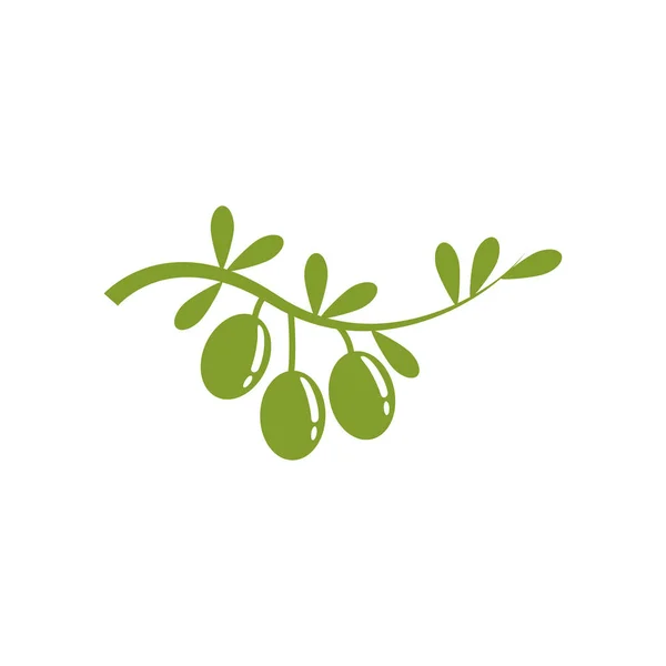 Olio d'oliva cibo sano — Vettoriale Stock