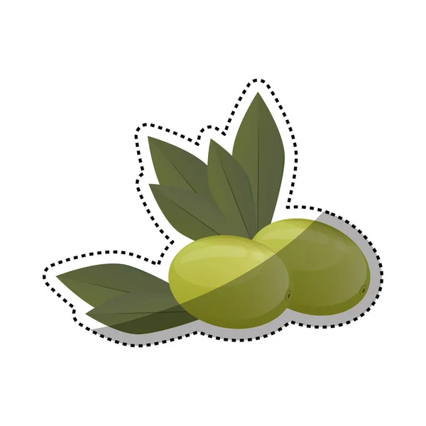 Aceite de oliva alimentos saludables — Vector de stock
