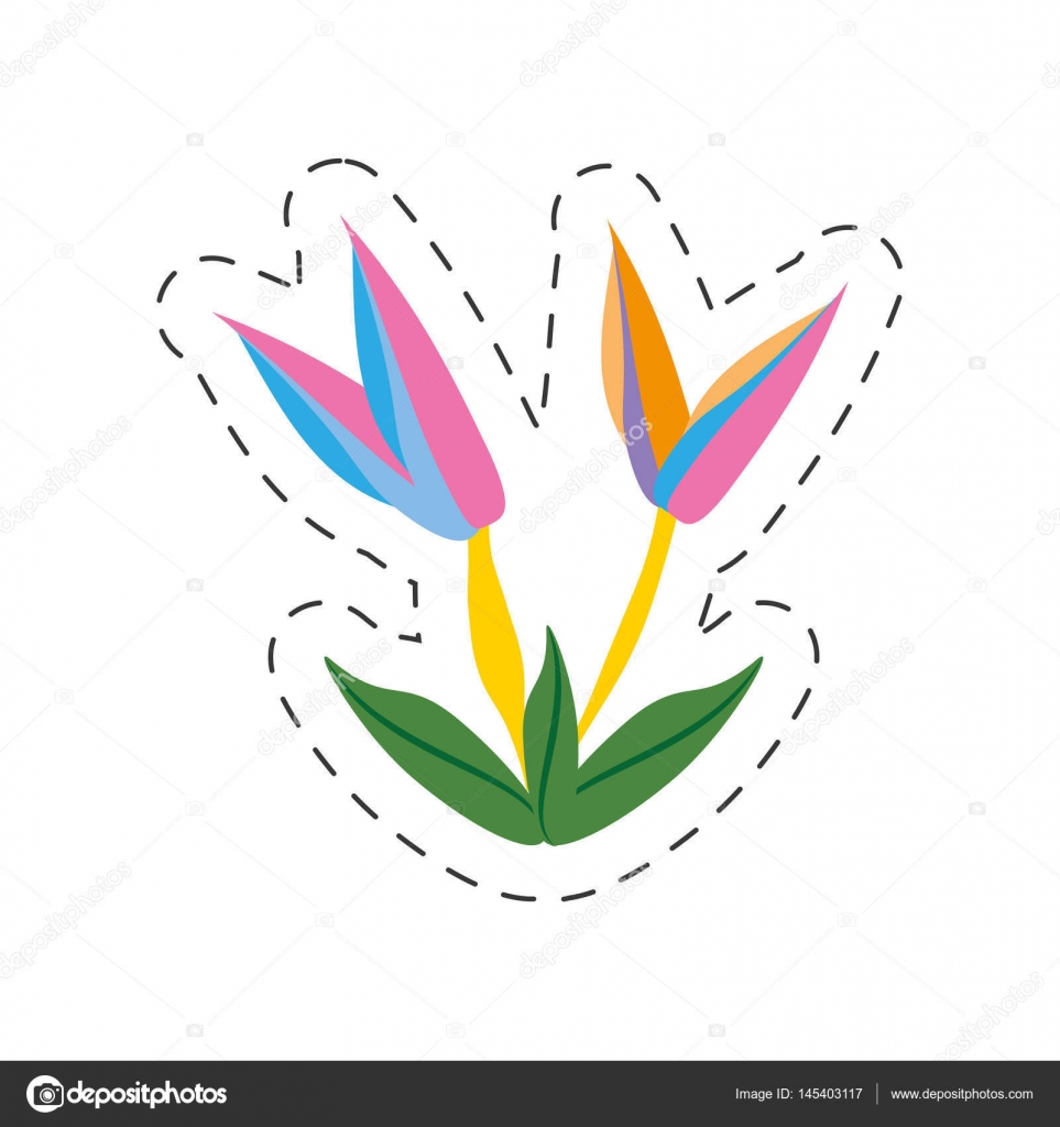 Fleur Oiseau Du Paradis De Dessin Animé Image Vectorielle
