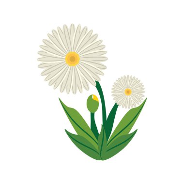 Papatya çiçek görüntü simgesi