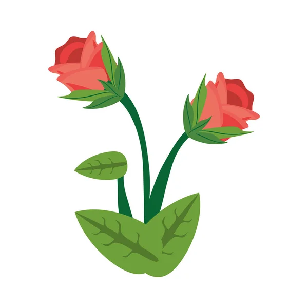 Flor rosa primavera imagen — Vector de stock