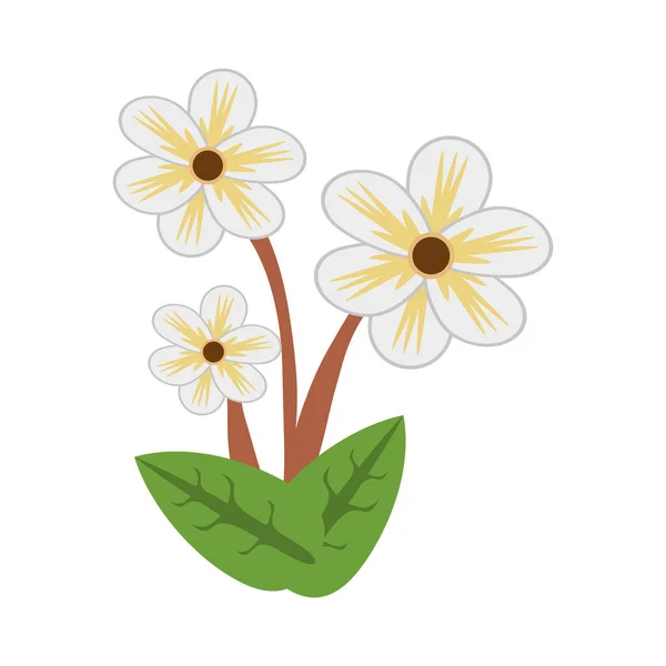 Jazmín flor primavera imagen — Vector de stock