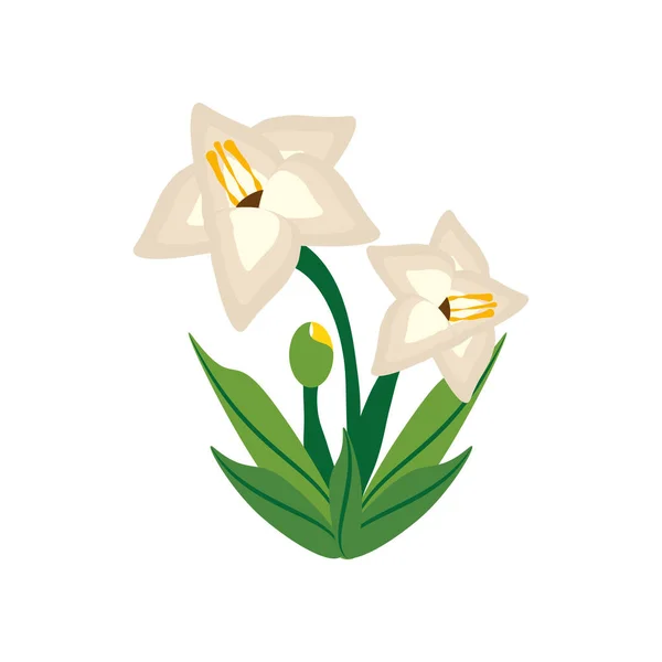 Gladiolus flower image icon — Stock Vector
