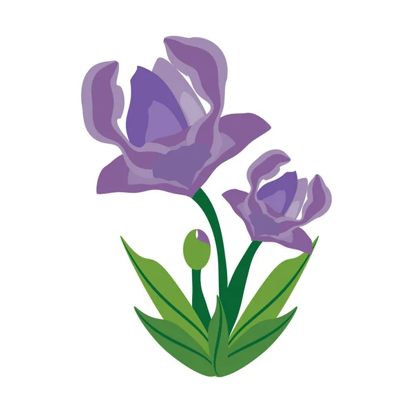 Anémona flor primavera imagen — Vector de stock