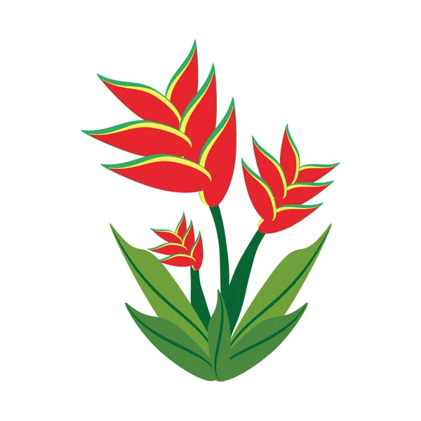 Heliconia flor primavera imagen — Vector de stock