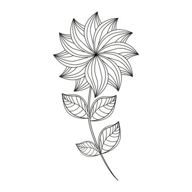 Yıldız Çiçeği çiçek dekorasyon hat