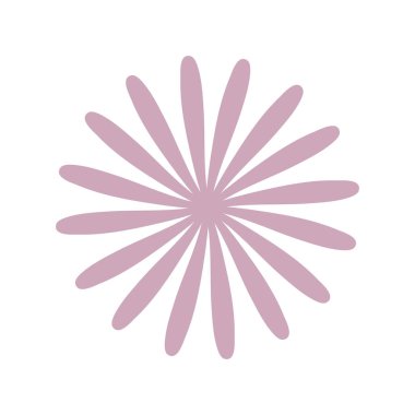 yıldız anason çiçek dekorasyon