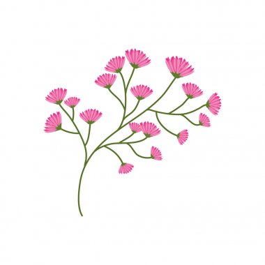 Şube bahar görüntü geliştiği